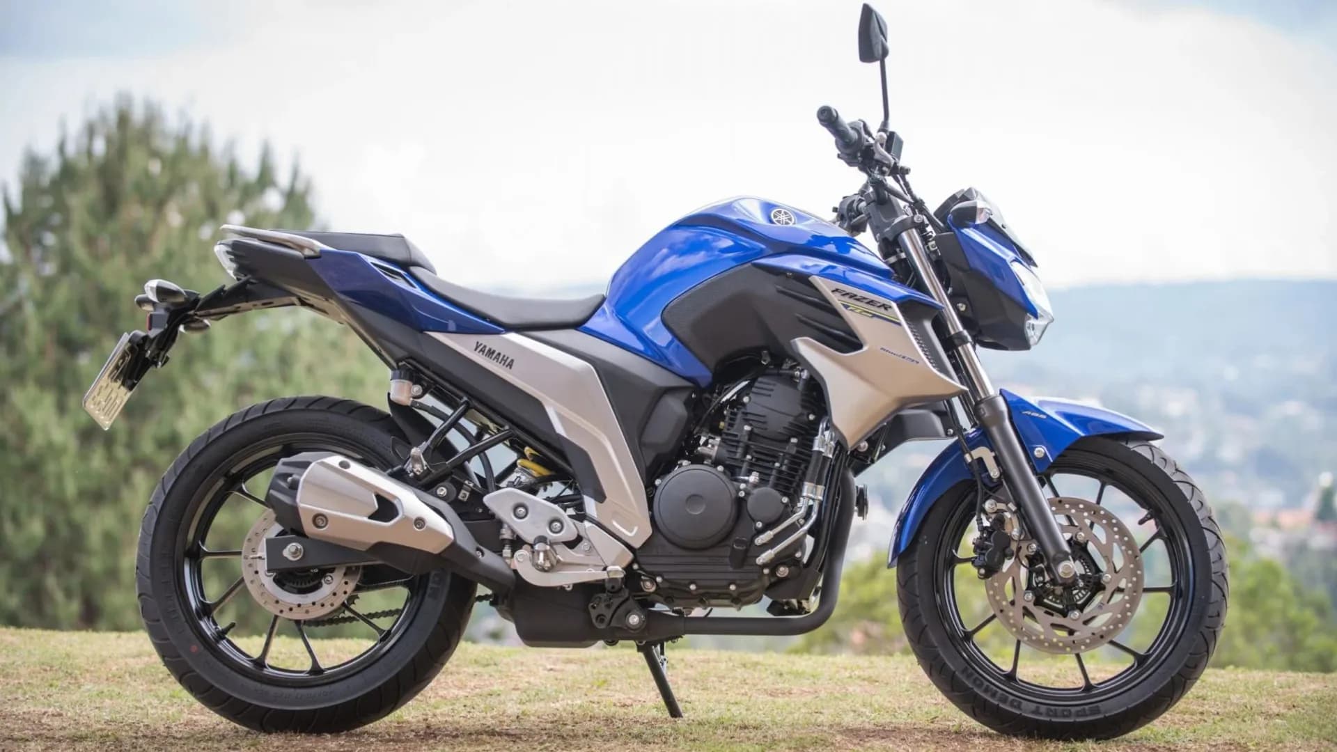 YAMAHA YS 250 FAZER/ FAZER L. EDITION /BLUEFLEX