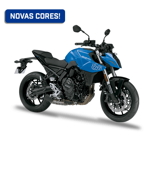 SUZUKI GSX-8S